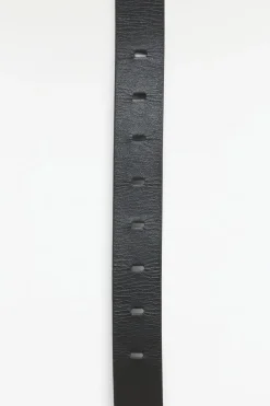 Abelia Belt